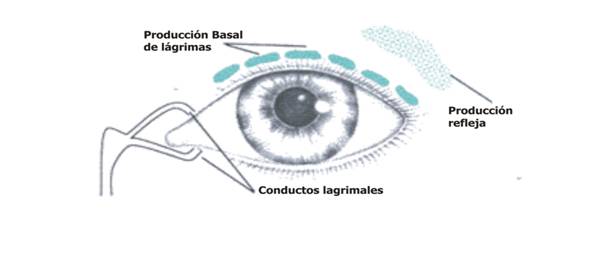 ojo seco